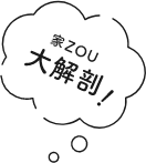 家ZOU 大解剖！